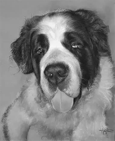 Portraits Animalier