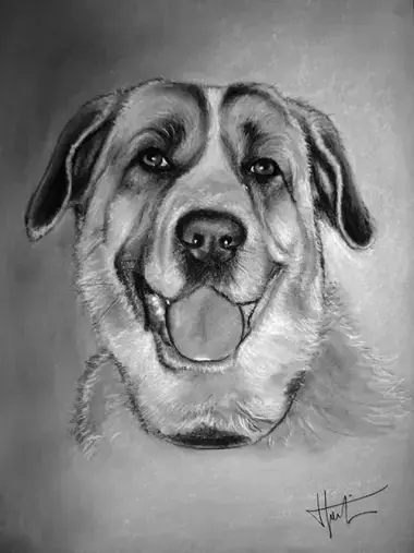 Portraits Animalier