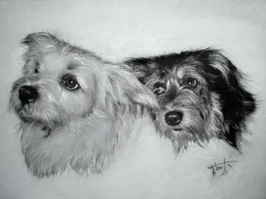 Portraits Animalier
