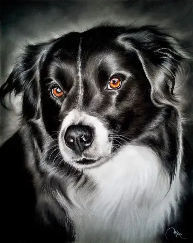 Portraits Animalier
